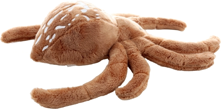 Detalii drăgălaşe şi aspect realist