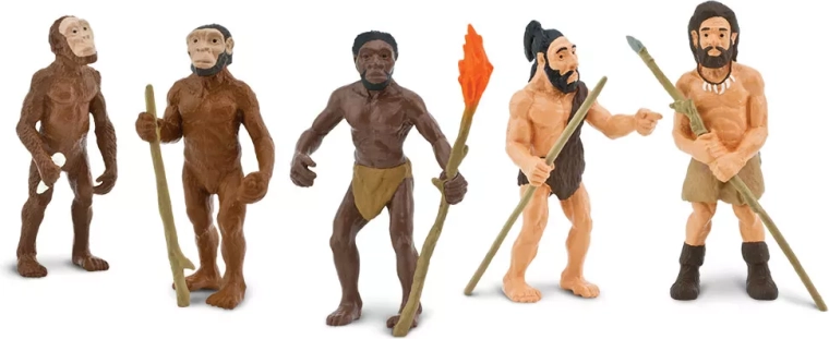 Safari Ltd. evoluția omului – set de 5 figurine pictate manual