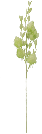 Iarbă decorativă 105 cm verde