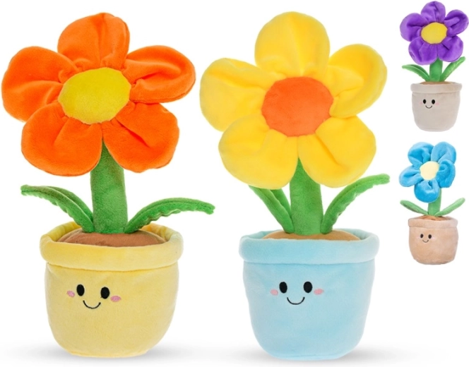 Sigură de la naștere (0+)