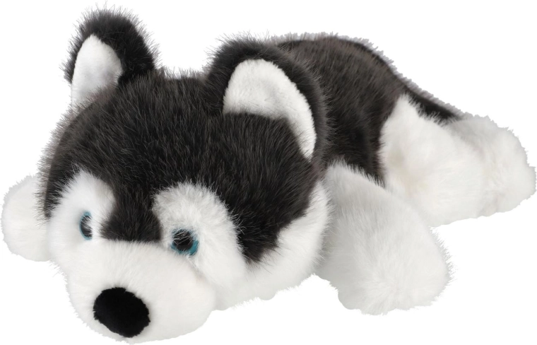Aspectul caracteristic al husky-ului