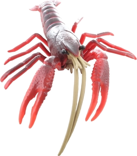 Dimensiune ideală pentru mâna copilului