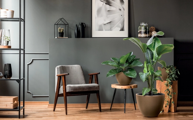 Aspect natural care se potrivește cu interiorul modern