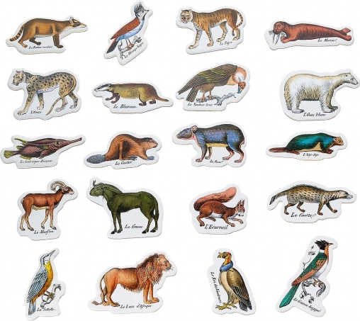 Magneti Zoologici
