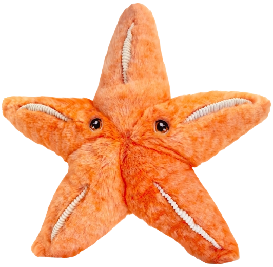 Stea de mare de pluș Keeleco, 25 cm