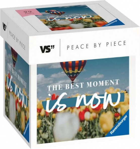 Puzzle Moments 99 piese Cel mai bun moment este acum