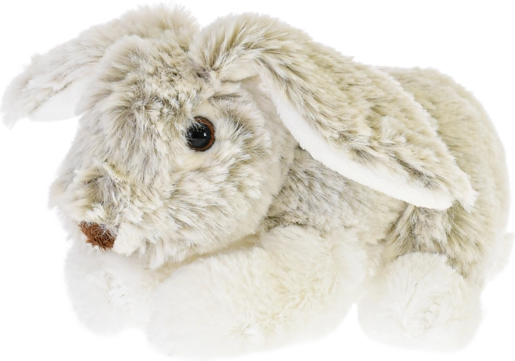 Detalii drăgălașe și urechi lungi