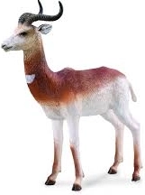 Collecta albatros călător – figurină realistă