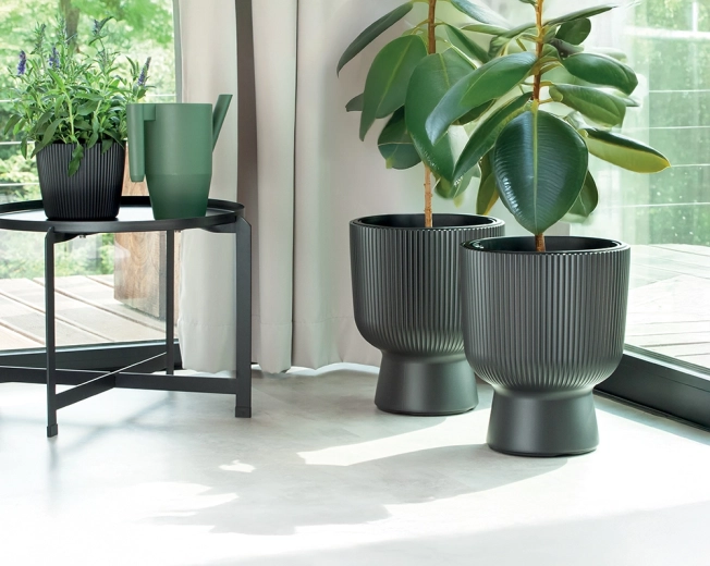 Design modern cu nervuri pentru casă și terasă