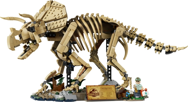 Schelet mobil de triceratops