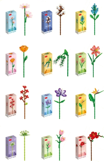 Florist flori de vară și de câmp multicolore (12 tipuri)