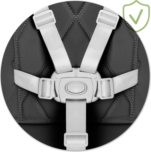 Siguranță maximă datorită centurii în 5 puncte