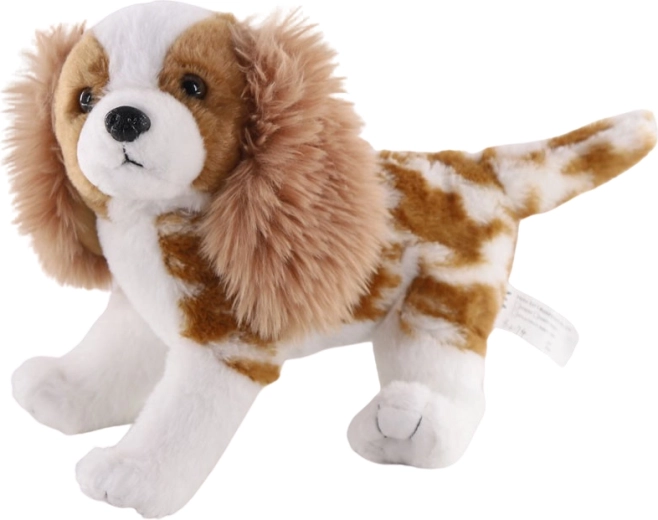 Câine de pluș Cavalier King Charles Spaniel 26 cm