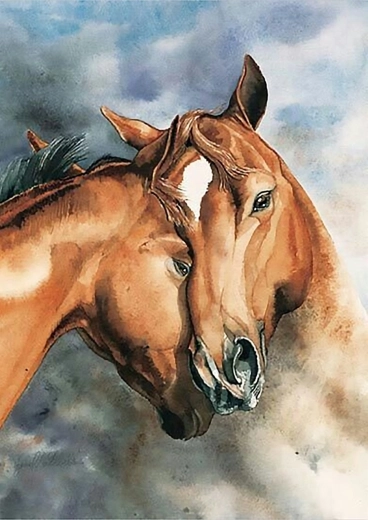 Norimpex pictură pe numere Cai 40 × 50 cm