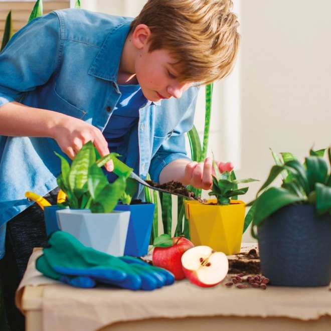 Cultivare distractivă acasă