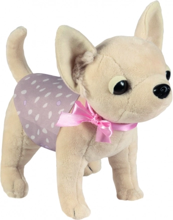Căţeluş chihuahua DIDI