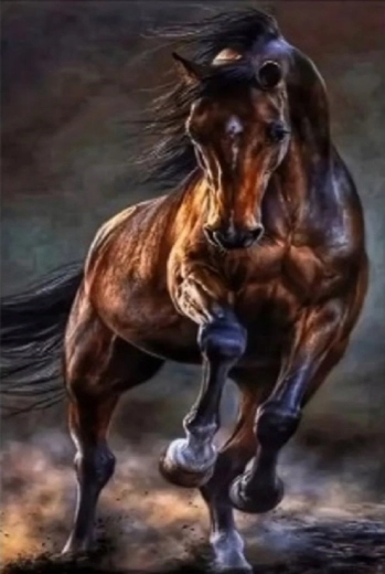 Norimpex pictură cu diamante cal sălbatic 30 × 40 cm