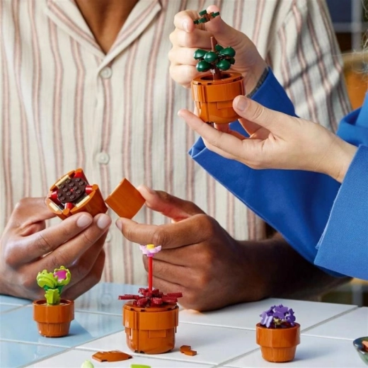 Construcție împreună și ghid digital