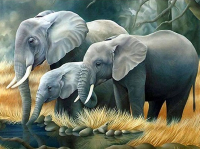 Norimpex pictură pe numere Familia de elefanți lângă râu 40 × 50 cm