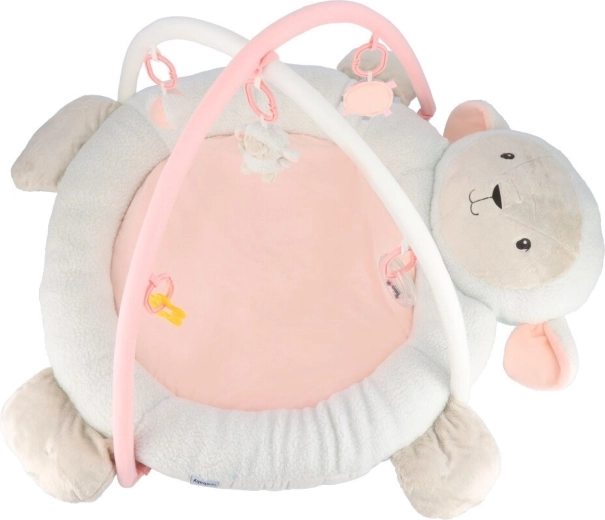 Arcadă și jucării detașabile