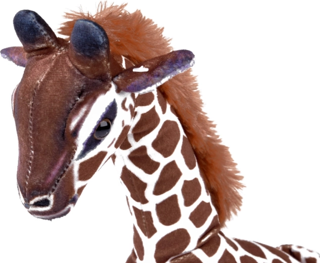 Detalii sigure și manoperă de calitate