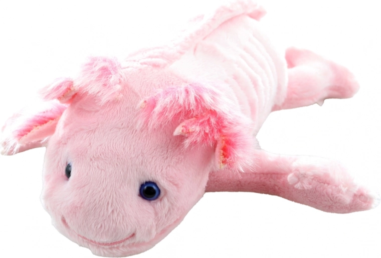 Detalii adorabile ale axolotlului