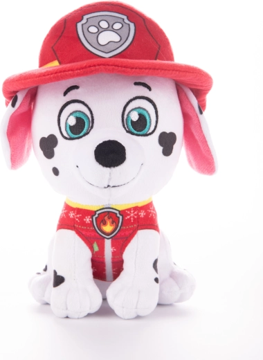 Detalii autentice de pompier