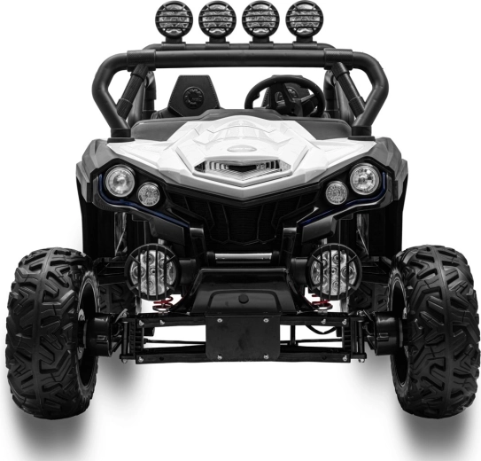 Siguranță și control cu telecomanda 2.4G