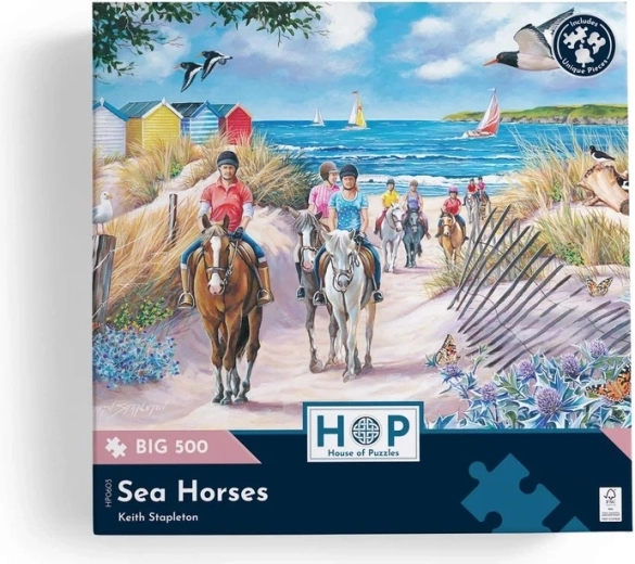 Execuție de calitate House of Puzzles