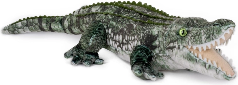 Aspect realist de crocodil
