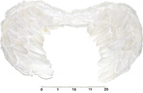 Aripi de înger pentru costum