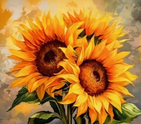 Norimpex Pictură după numere Trei floarea-soarelui 40 × 50 cm