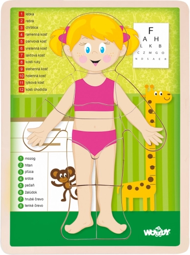 Puzzle corpul uman fată