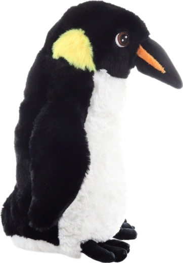 Aspect realist care stimulează imaginația