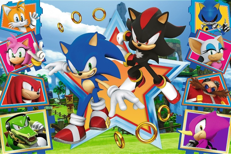 Puzzle 100 piese - Faceți cunoștință cu Sonic