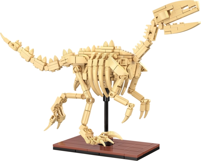 Schelete luminoase și prezentare de expoziție