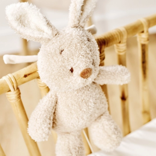 Material teddy catifelat pentru îmbrățișări nesfârșite