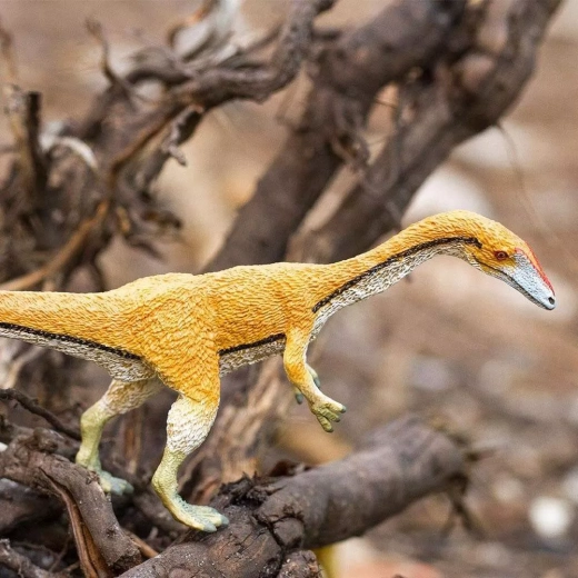 Ideală pentru călătorii, colecție și activități creative