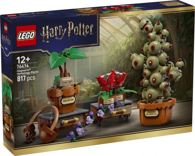 LEGO Harry Potter Plante din ora de ierbologie de la Hogwarts