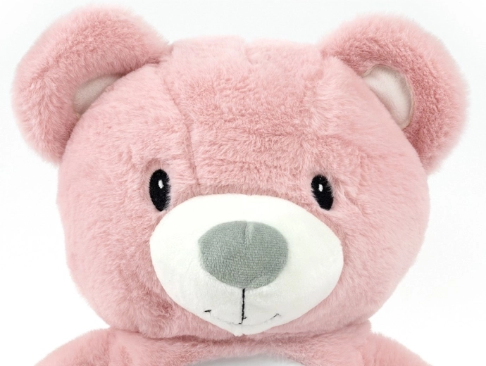 Proiector detașabil și temporizator