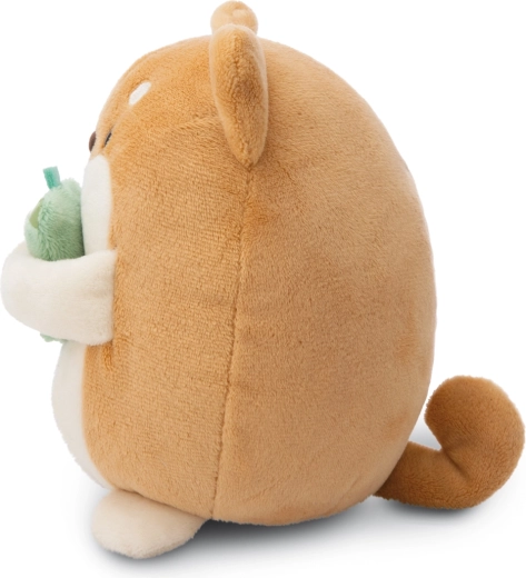 Cadoul ideal în ambalaj frumos