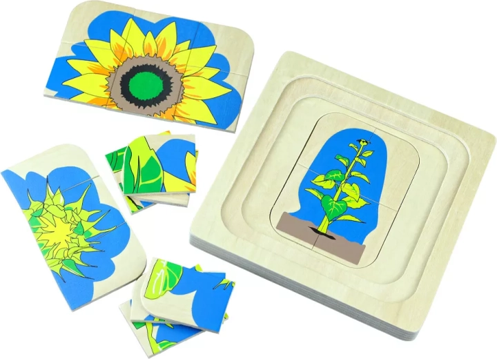 Puzzle din lemn, cu mai multe straturi, Ciclul de viață al florii