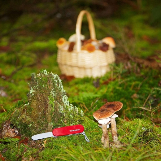 Design licențiat VICTORINOX