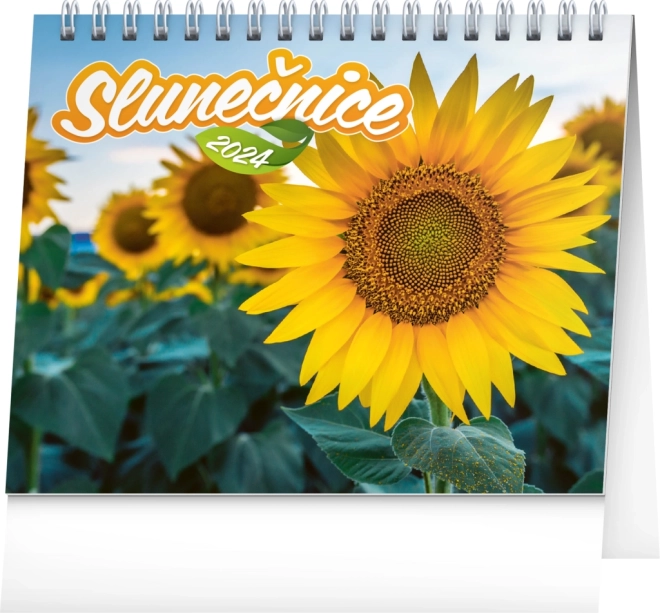 Calendar de masă Floarea-soarelui cu citate 2024