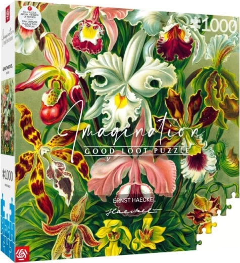 puzzle Imagination: Ernst Haeckel – orhidee, 1000 de piese