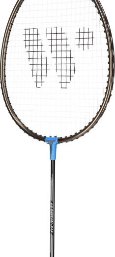 Control și sensibilitate la lovitură