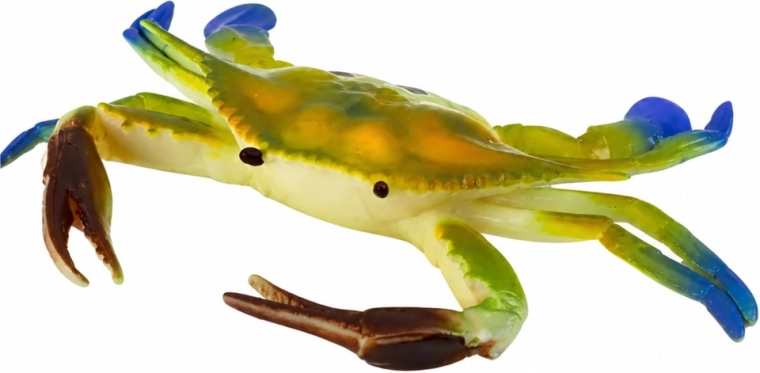 Detalii fidele ca la un crab adevărat