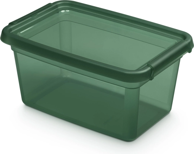 Basestore cutie de depozitare cu capac și cleme PINE 4,5 l