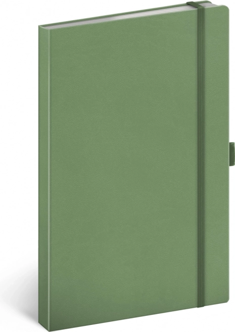 Caiet Notique verde dictando 13 × 21 cm