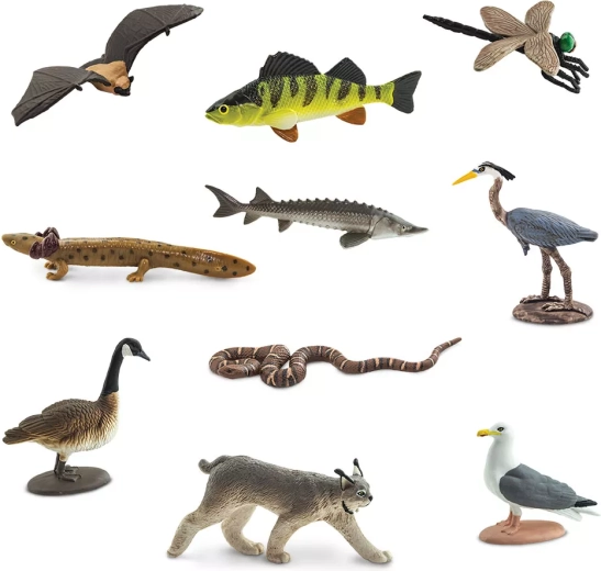 10 miniaturi de animale din zona Marilor Lacuri